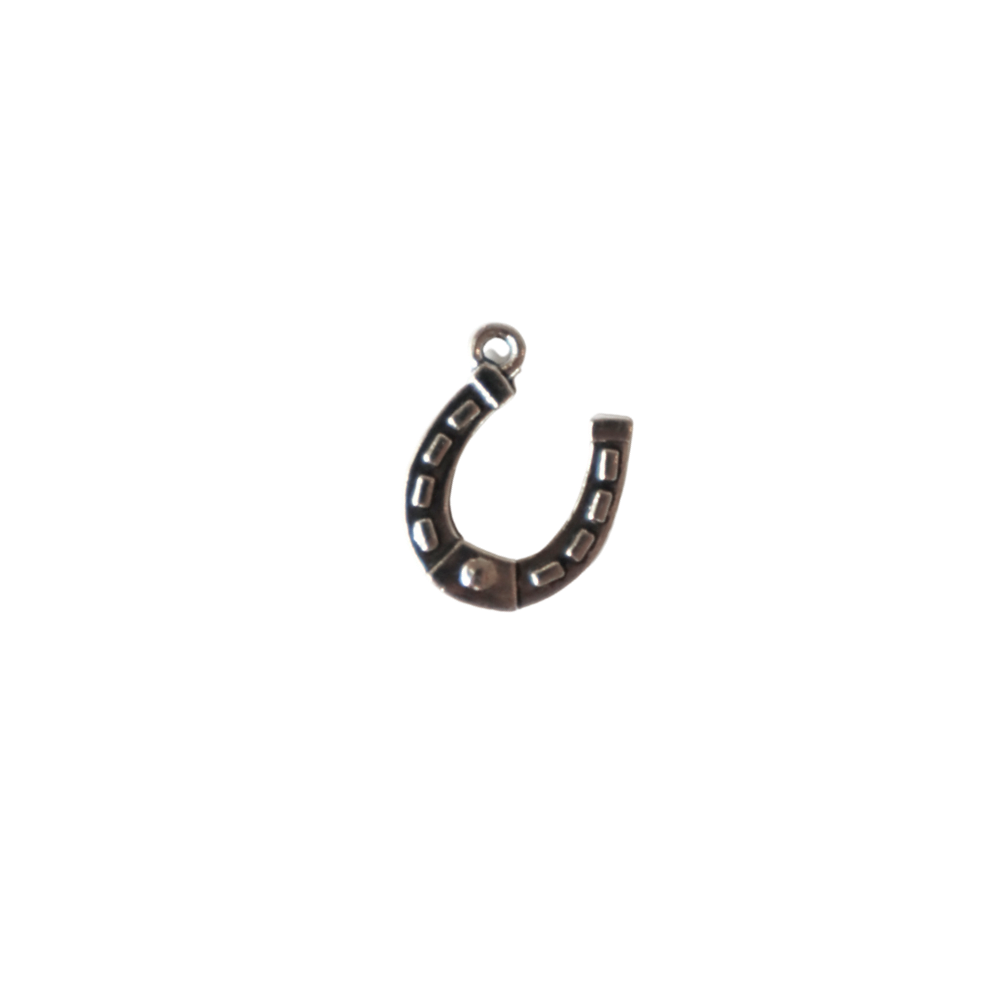 Silver Horseshoe