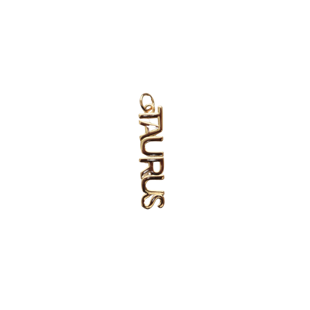 Long Gold Filled Taurus Charm
