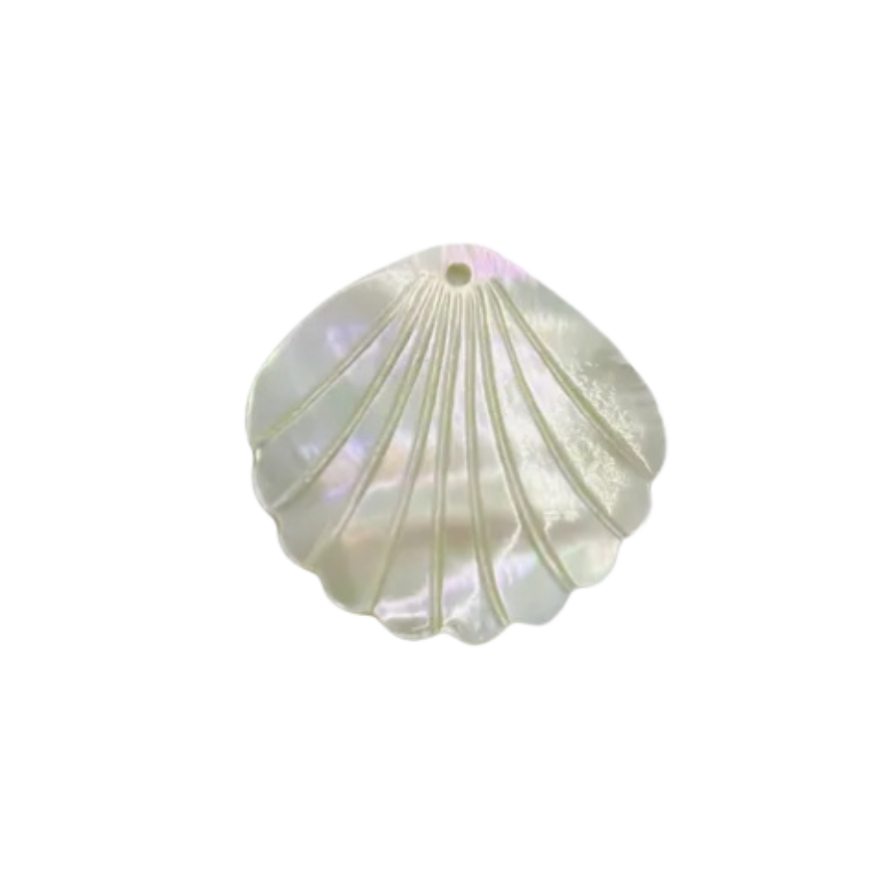 White Shell Charm