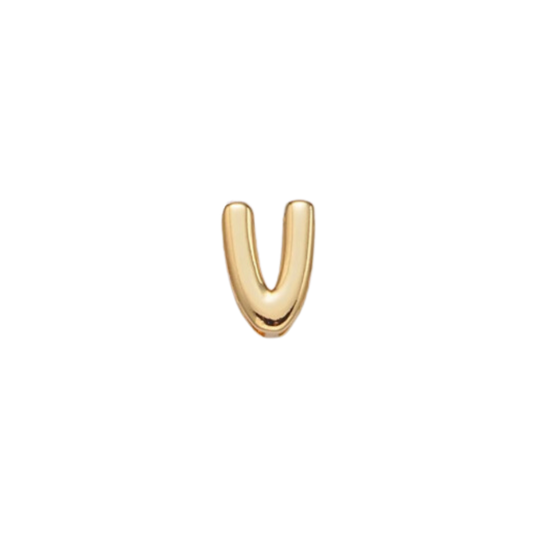 Slider Gold V Charm
