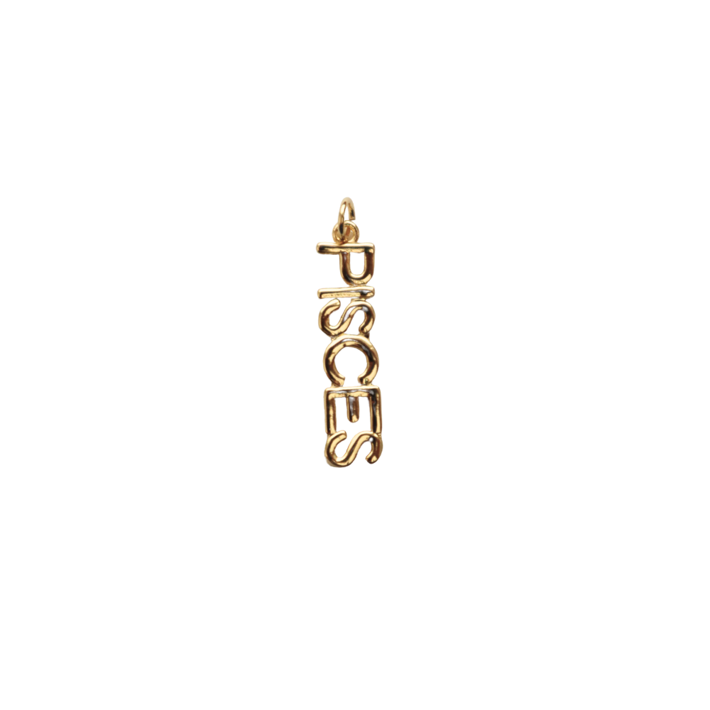 Long Gold Filled Pisces Charm