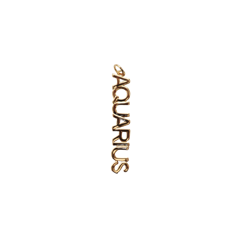 Long Gold Filled Aquarius Charm