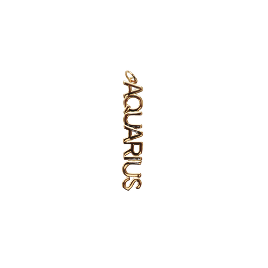 Long Gold Filled Aquarius Charm