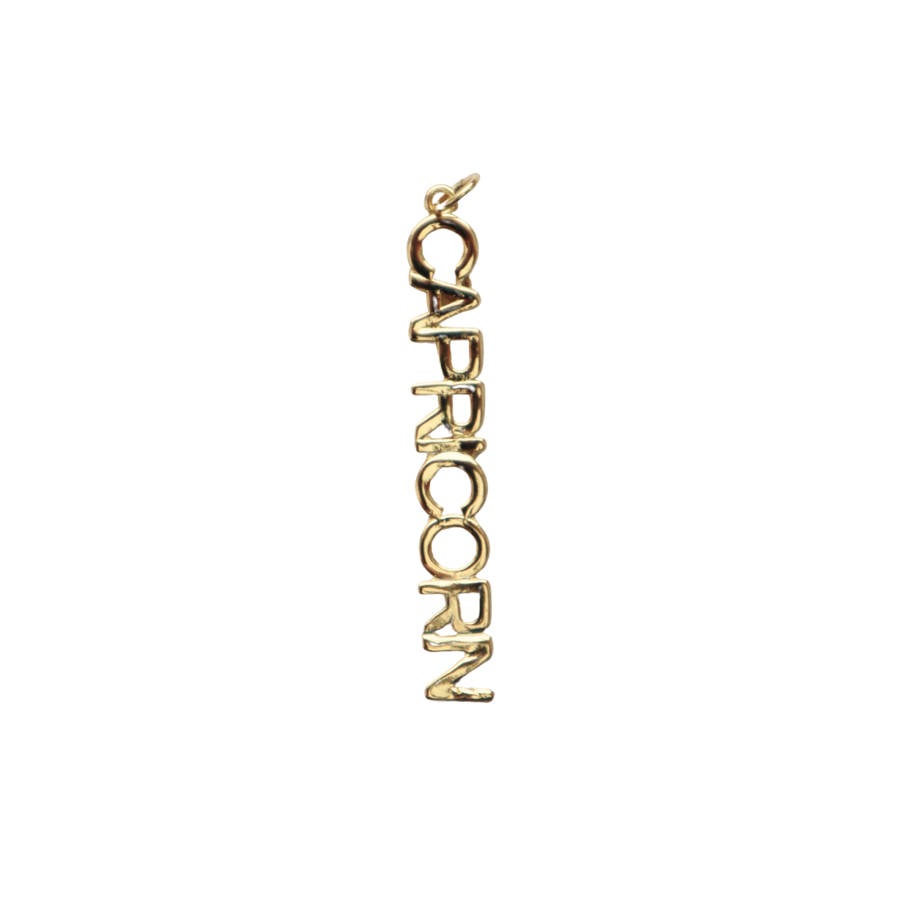 Long Gold Filled Capricorn Charm